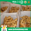 factory wholesale best quality fresh ginger with lowest price